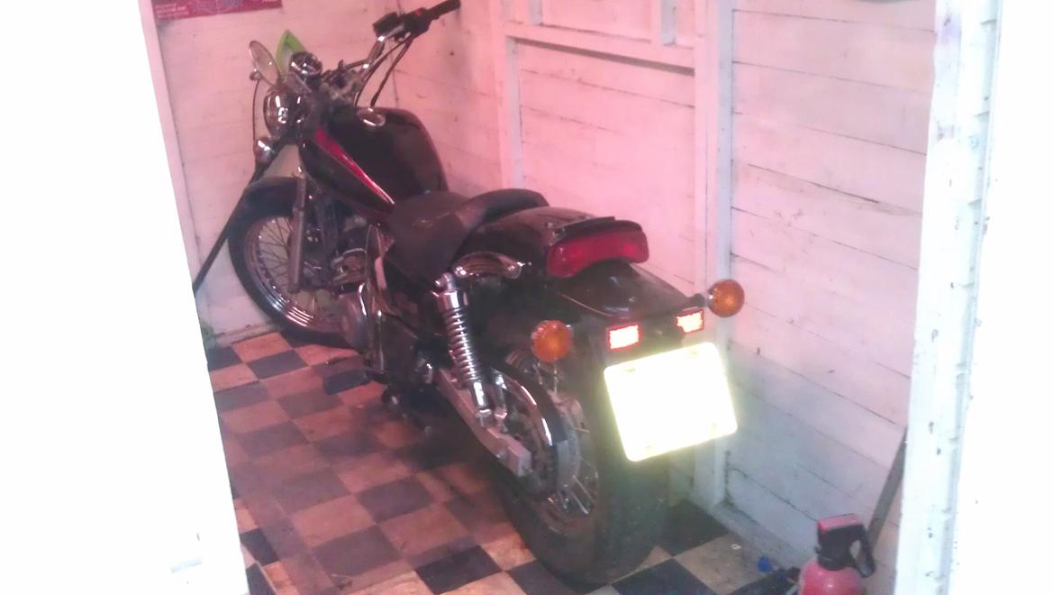 Kawasaki el 250 Elienator billede 1