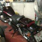 Kawasaki el 250 Elienator billede 4