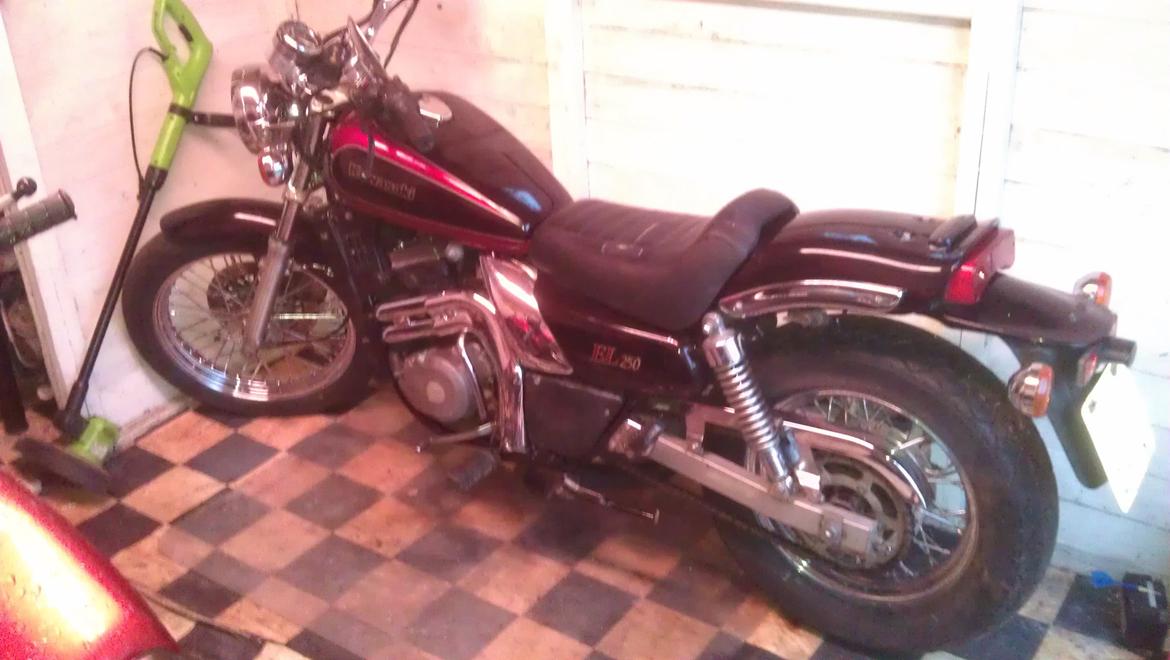 Kawasaki el 250 Elienator billede 5