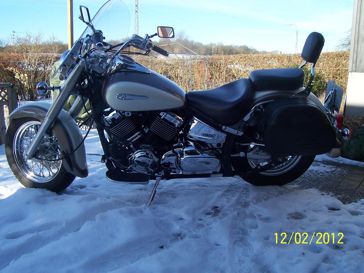 Yamaha XVS 650 Dragstar Classic "solgt" billede 6