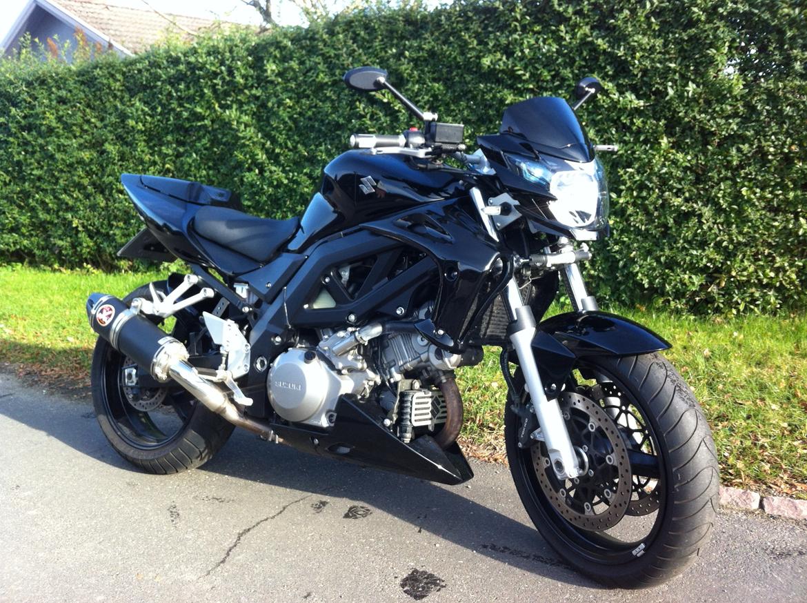 Suzuki SV1000N billede 1
