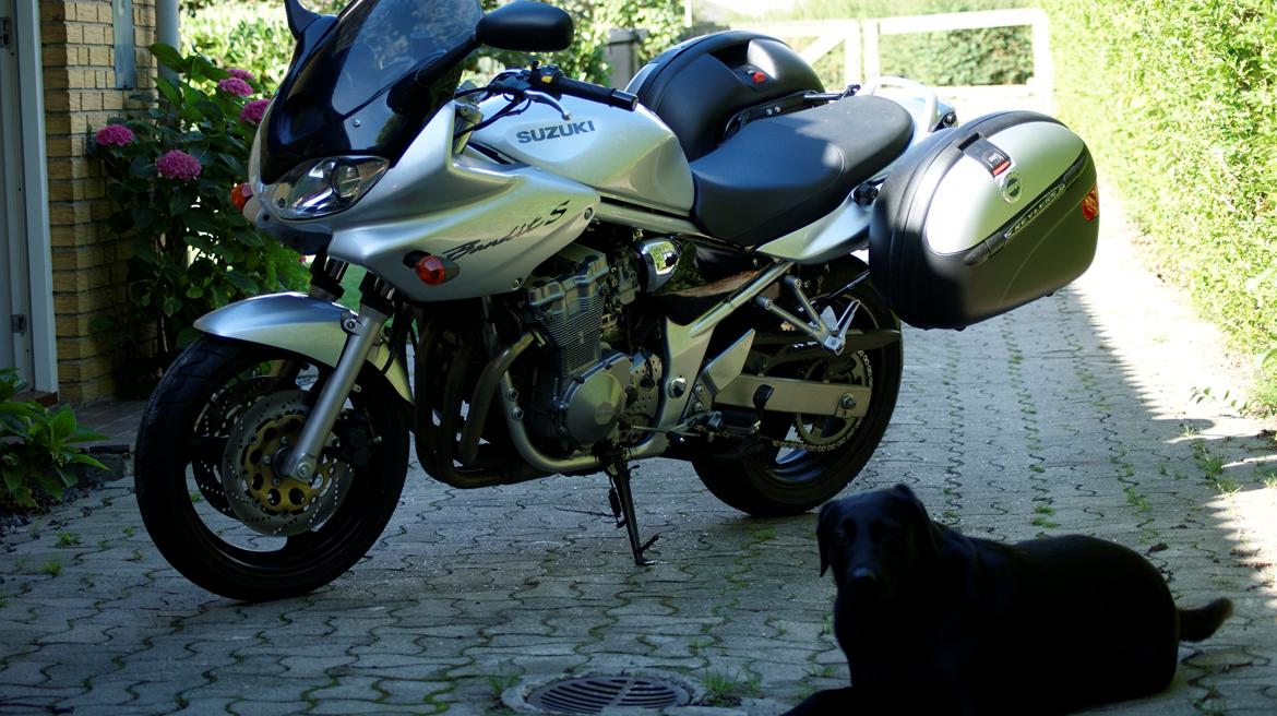 Suzuki GSF600s  Bandit billede 9