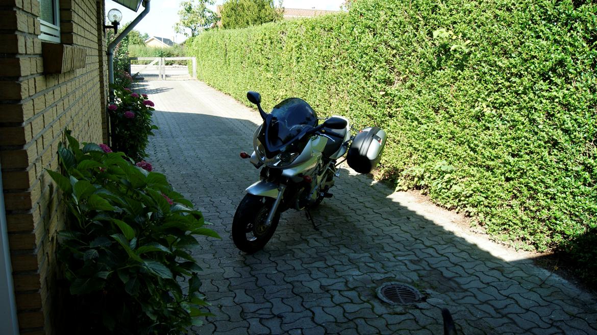 Suzuki GSF600s  Bandit billede 10