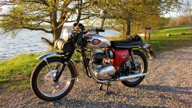 BSA A65 Lightning US model billede 9