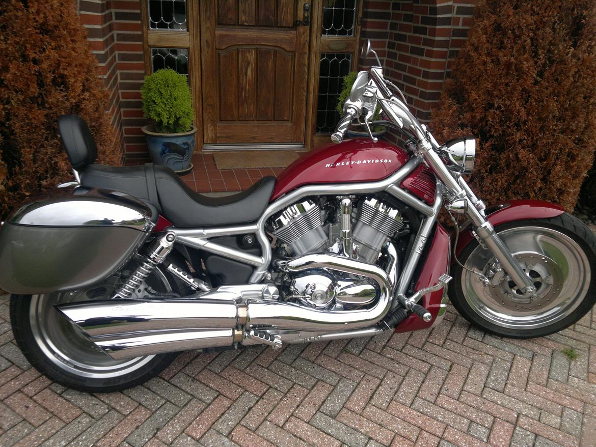 Harley Davidson V-Rod VRSCA billede 11