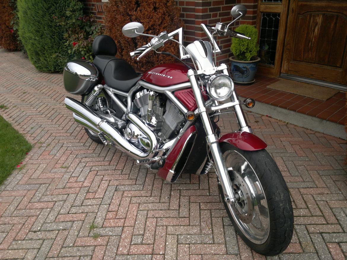 Harley Davidson V-Rod VRSCA billede 12