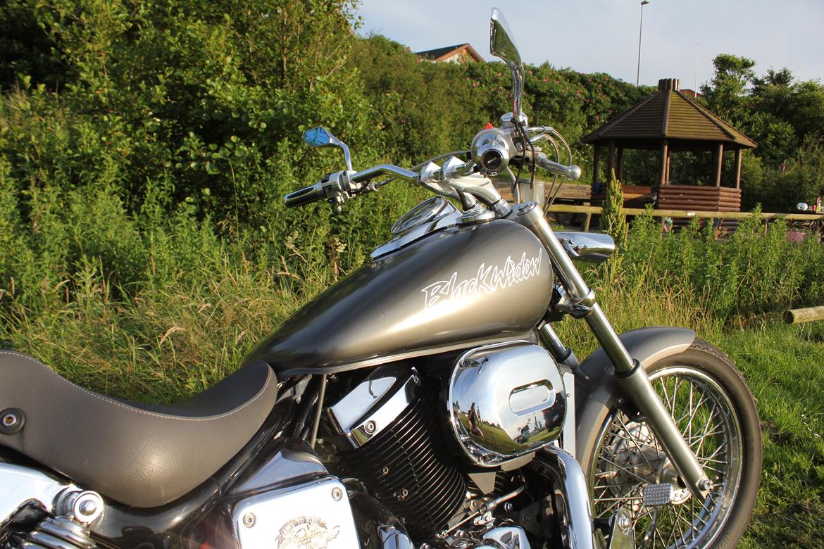 Honda Black Widow billede 5