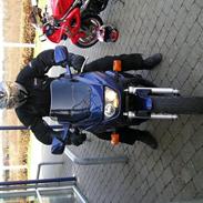 Suzuki GS 500 E