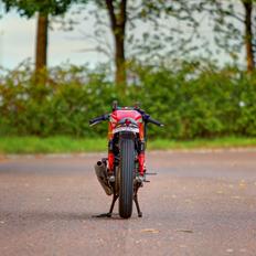 Ducati 650 SL Pantah Cafe Racer