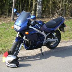 Suzuki GS 500 E