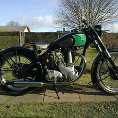 BSA B31 Rigid