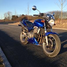 Honda CB 600 F Hornet (SOLGT!)