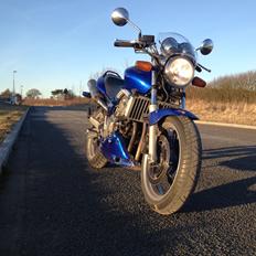 Honda CB 600 F Hornet (SOLGT!)