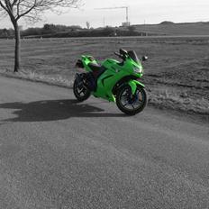 Kawasaki Ninja 250R SOLGT
