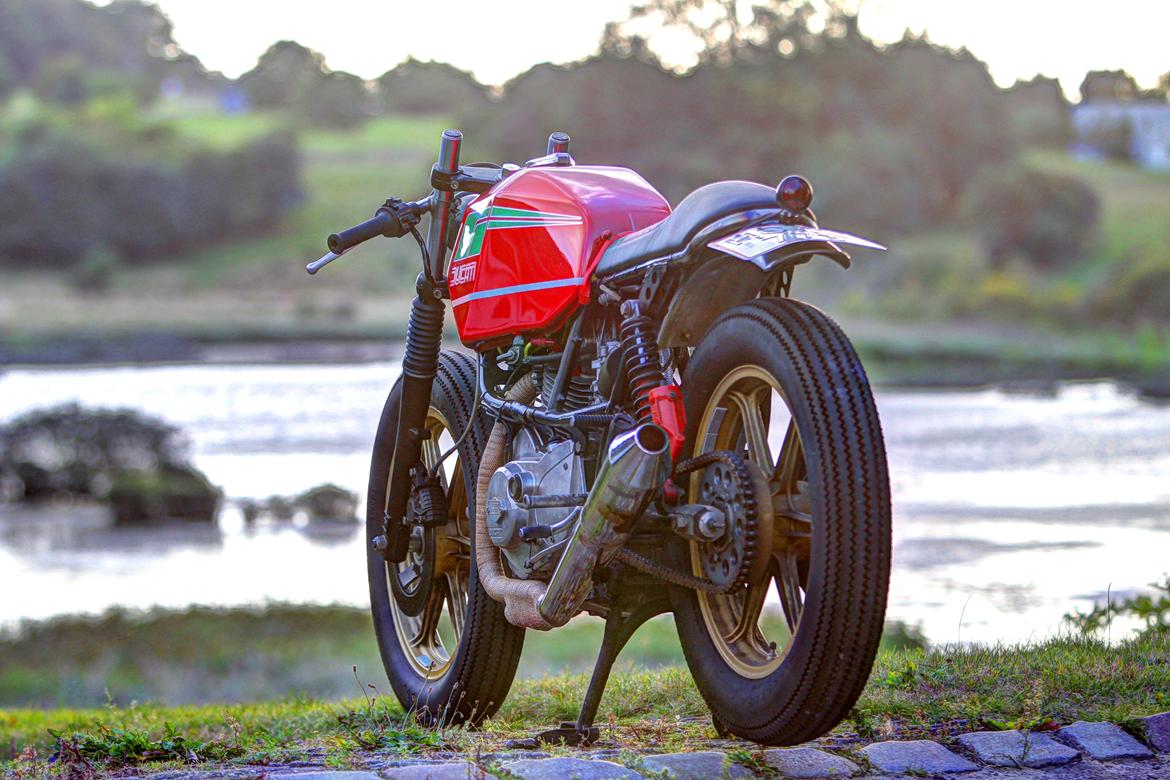 Ducati 650 SL Pantah Cafe Racer billede 3