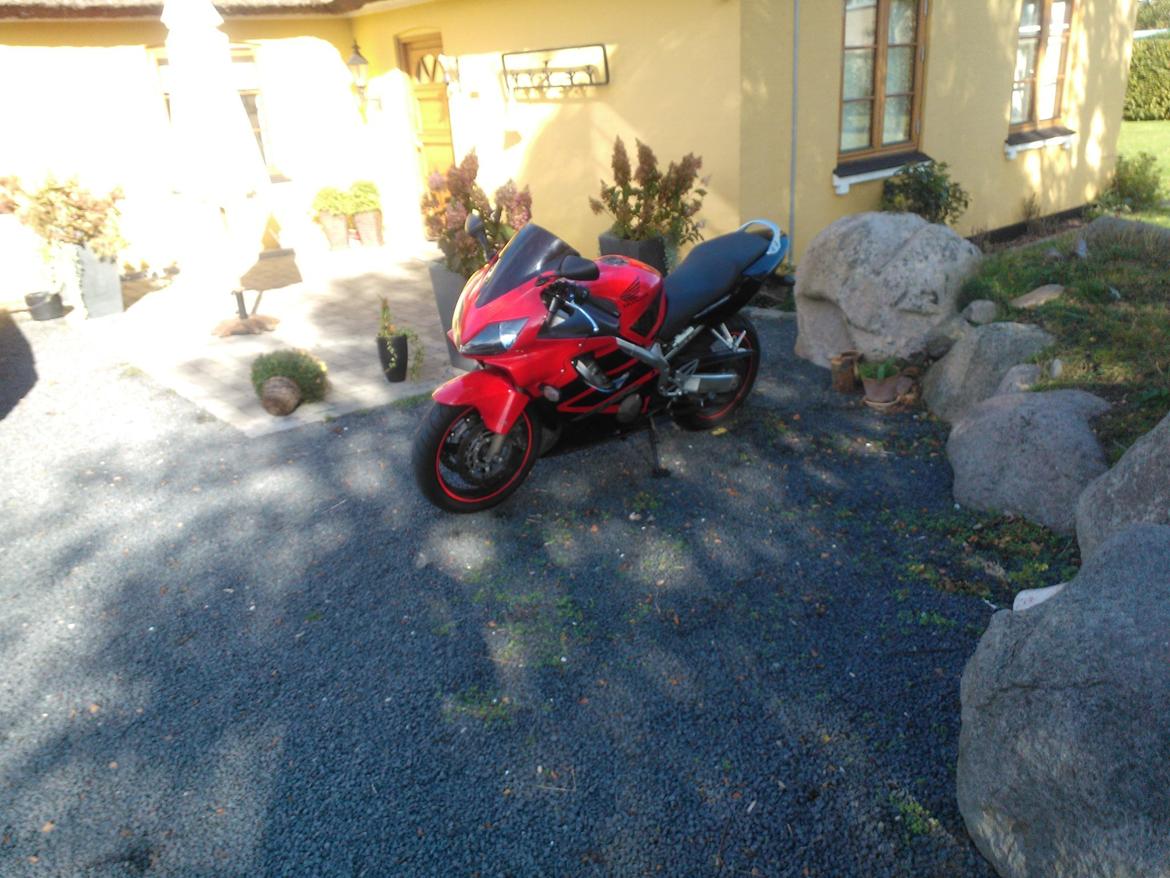 Honda CBR 600 F4i billede 4