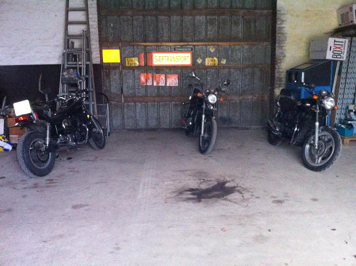 Kawasaki ZL 1000 B - Sammen med søstrene ZL900 og ZL600 billede 3
