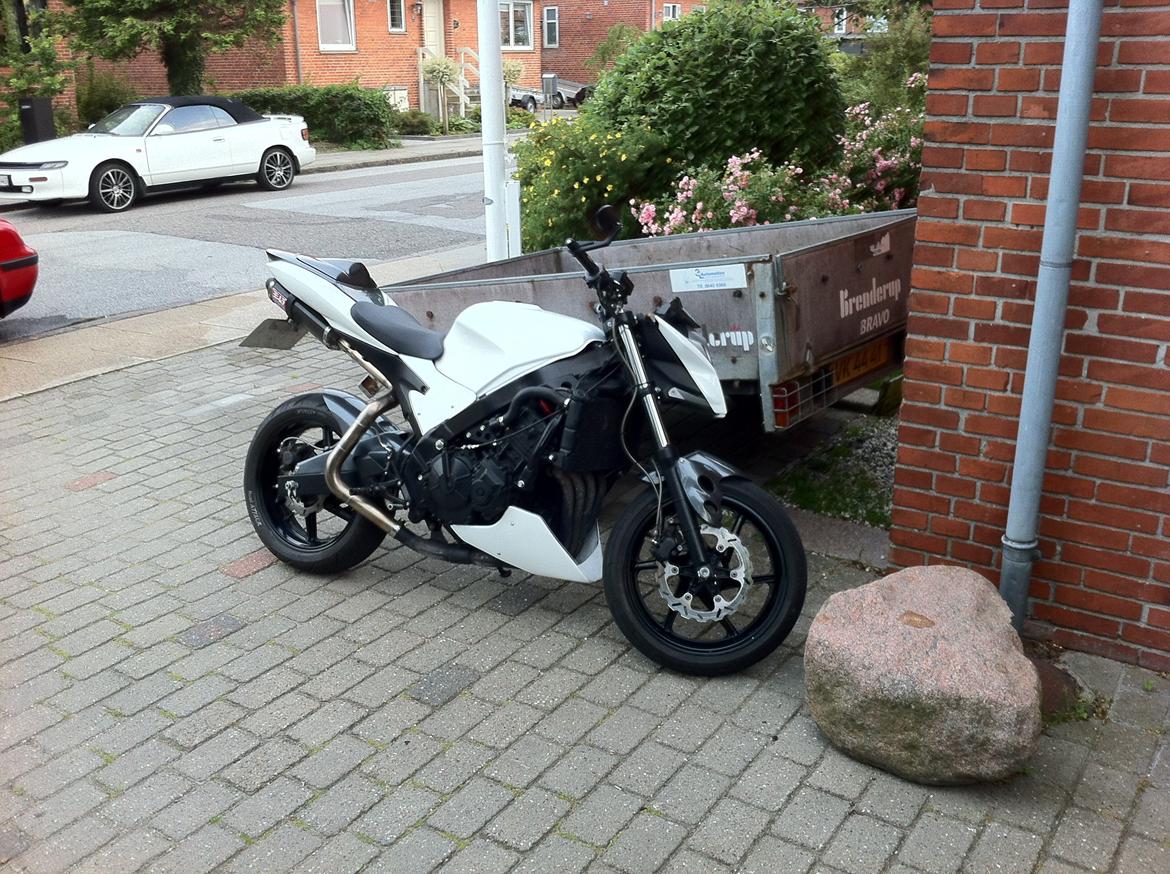 Honda Cbr 600 billede 5