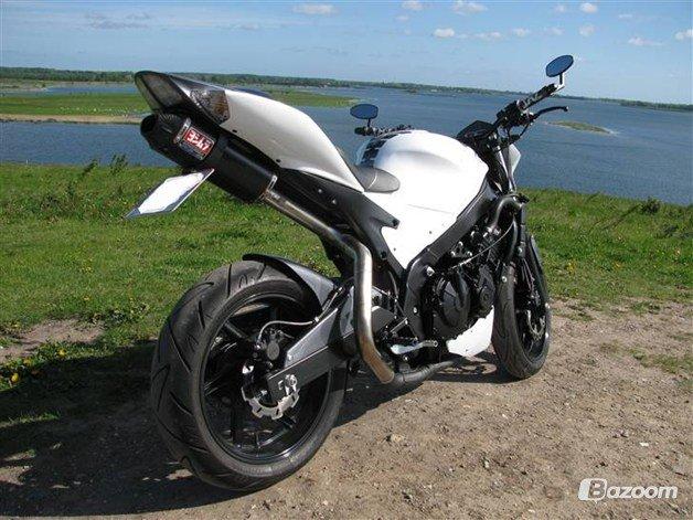 Honda Cbr 600 billede 8