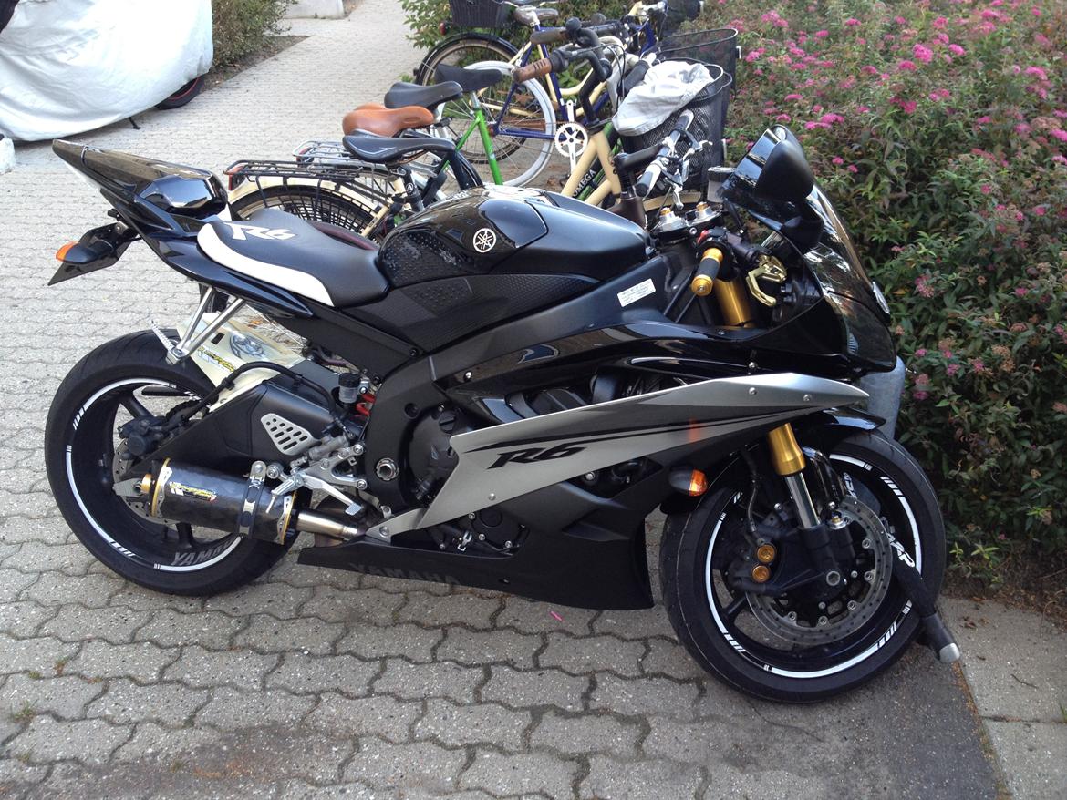 Yamaha r6 - min fede potte billede 2