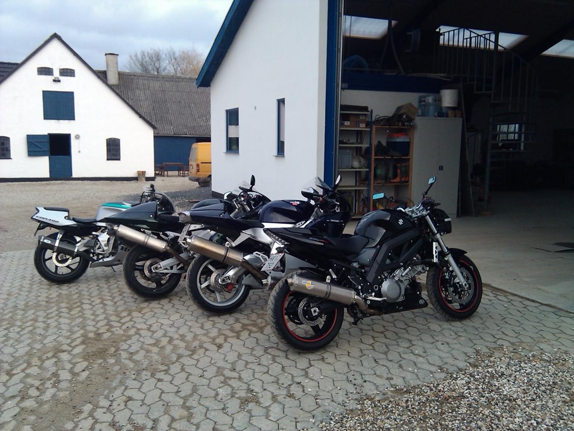 Aprilia RSV Mille billede 11