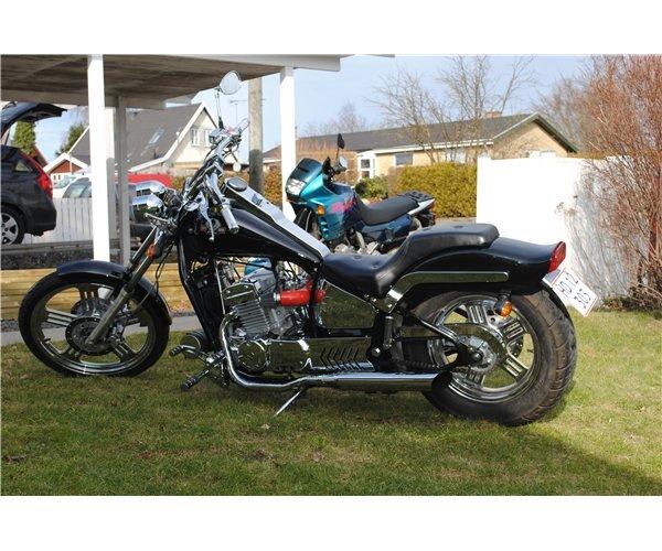 Regal Raptor Spyder 300 billede 3