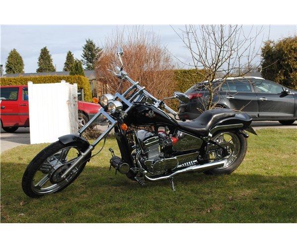 Regal Raptor Spyder 300 billede 5