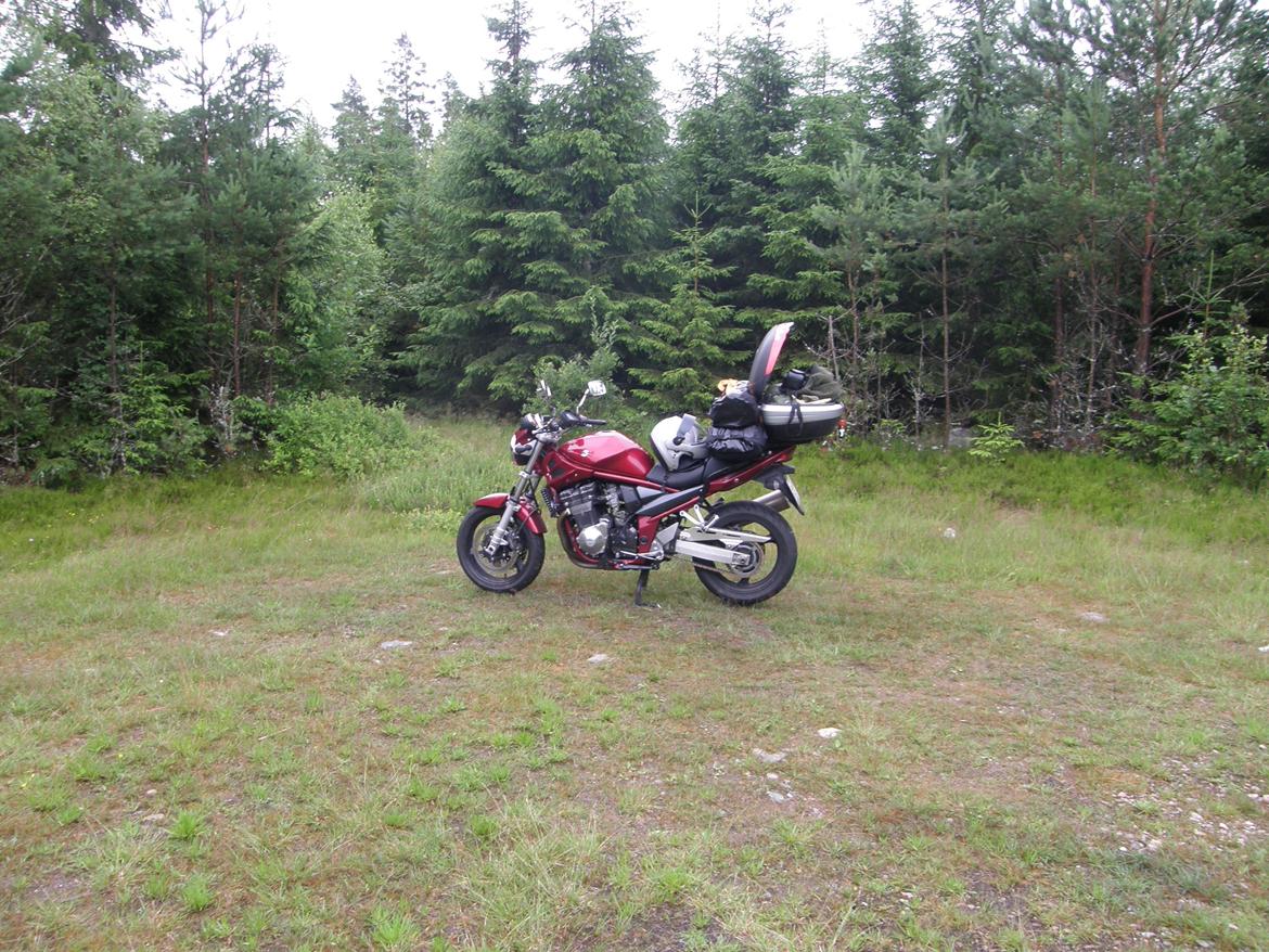 Suzuki GSF 1200 Bandit billede 4