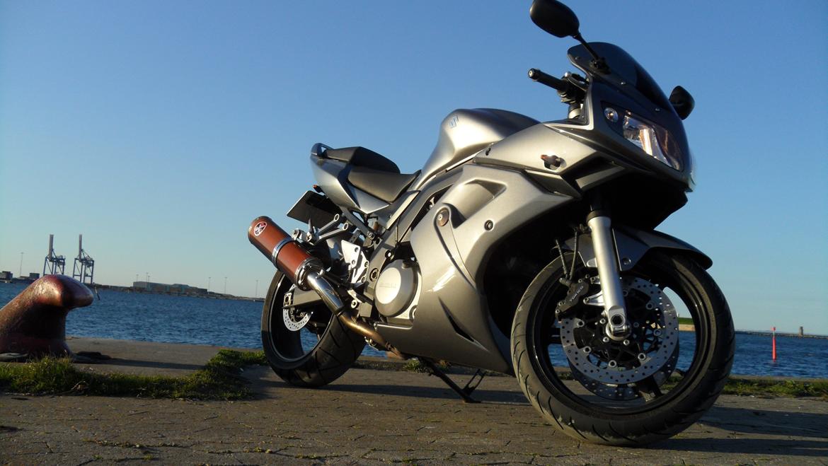 Suzuki SV1000s billede 2