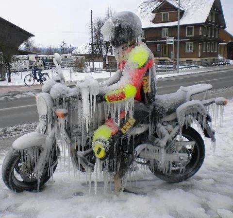 Suzuki SV1000s billede 7