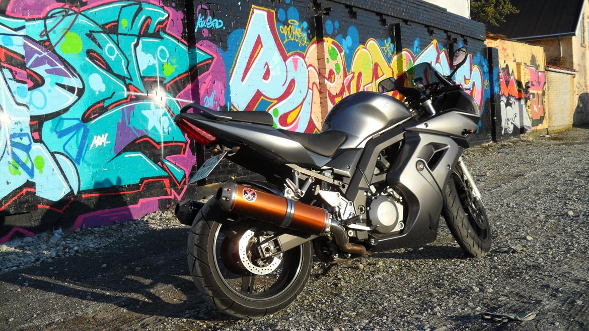 Suzuki SV1000s billede 4