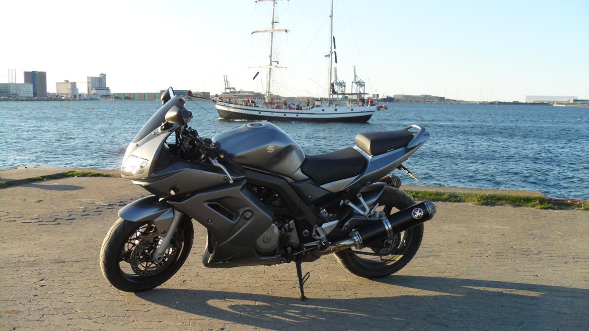 Suzuki SV1000s billede 5