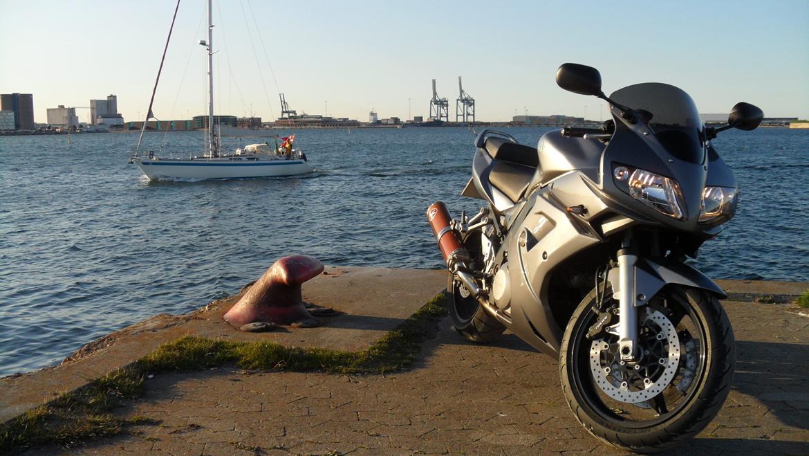 Suzuki SV1000s billede 1