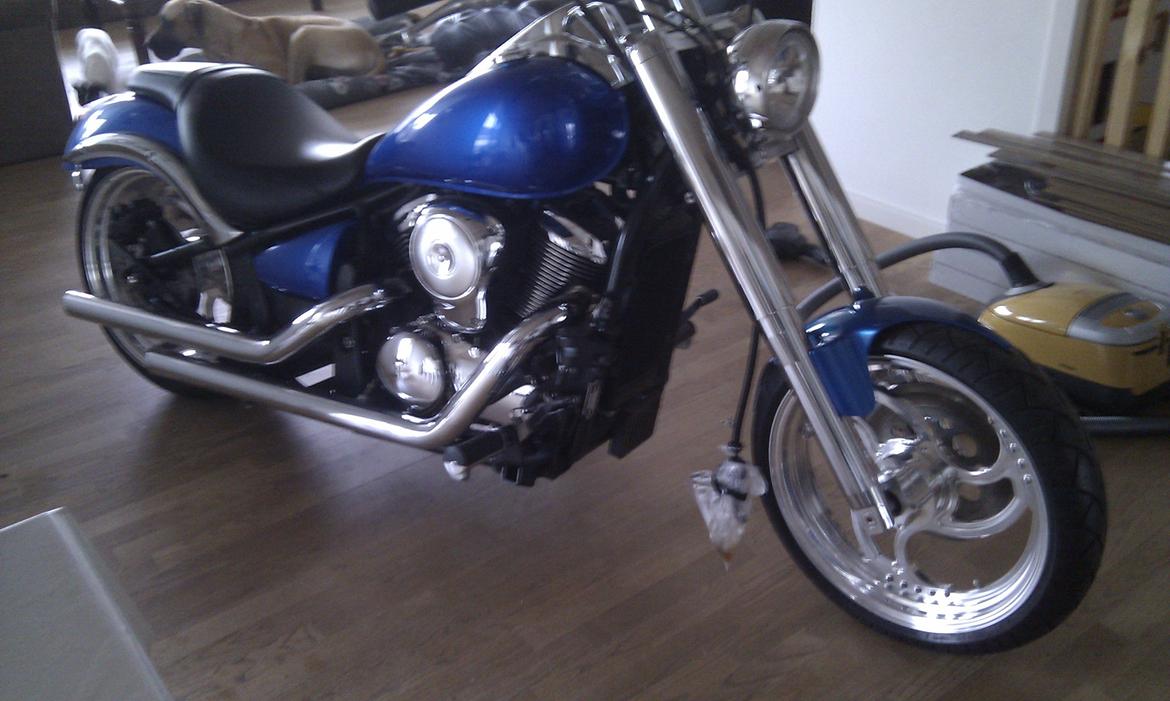 Kawasaki vn 900 costum billede 3