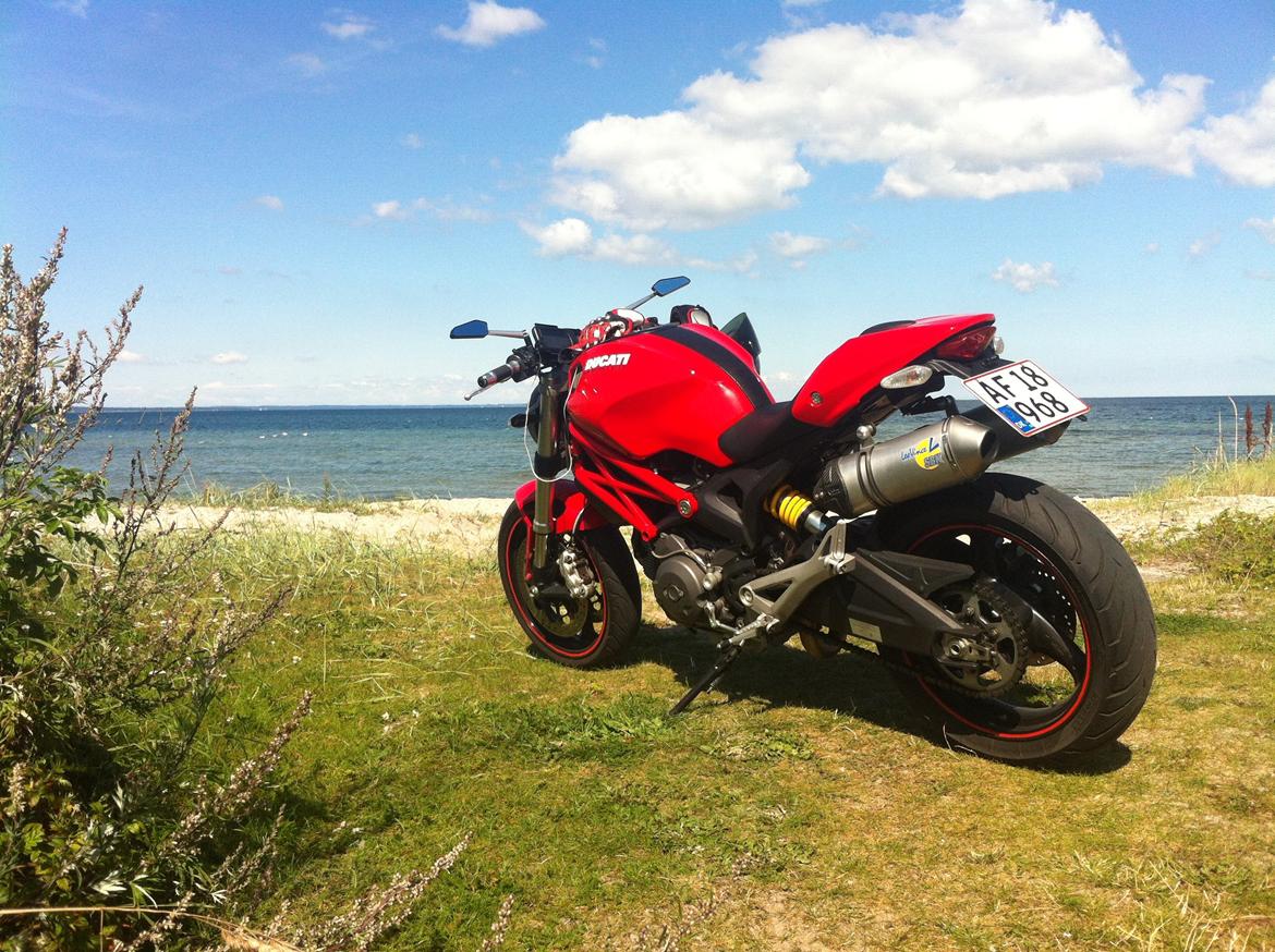 Ducati 696 Monster billede 7