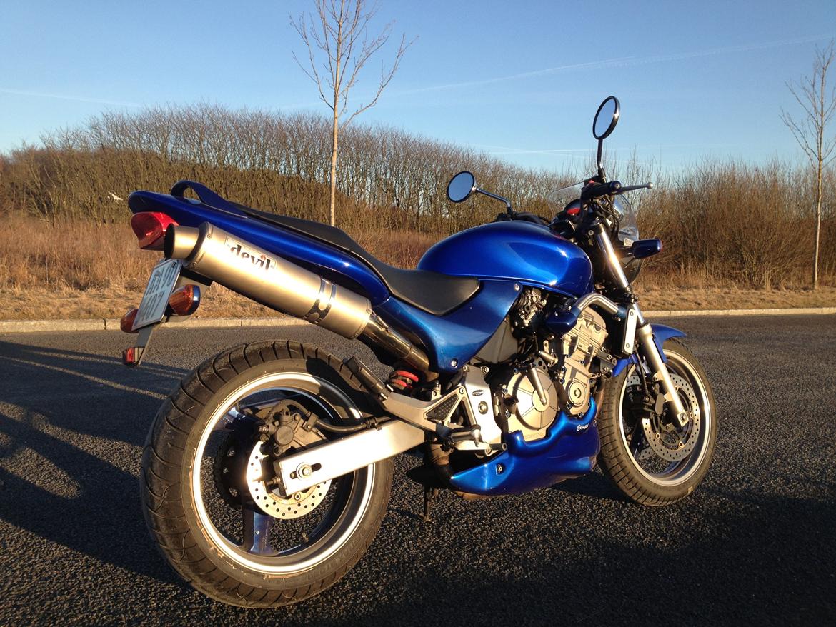 Honda CB 600 F Hornet (SOLGT!) billede 4