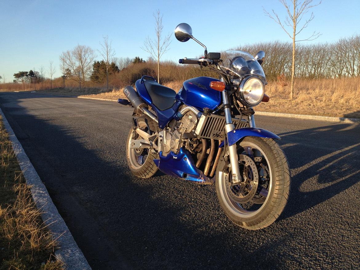 Honda CB 600 F Hornet (SOLGT!) billede 2