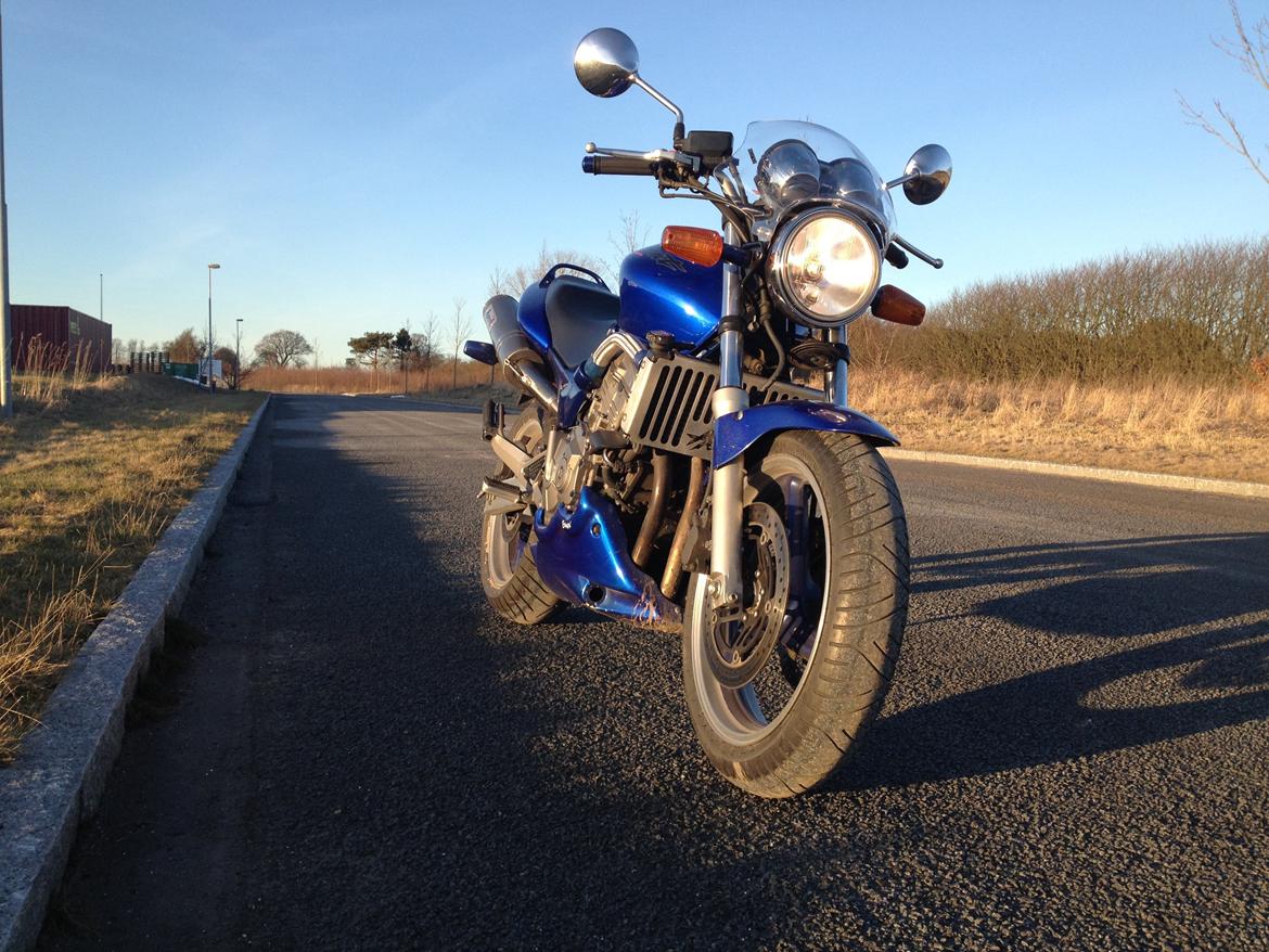 Honda CB 600 F Hornet (SOLGT!) billede 3