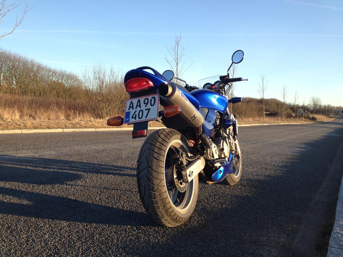 Honda CB 600 F Hornet (SOLGT!) billede 5