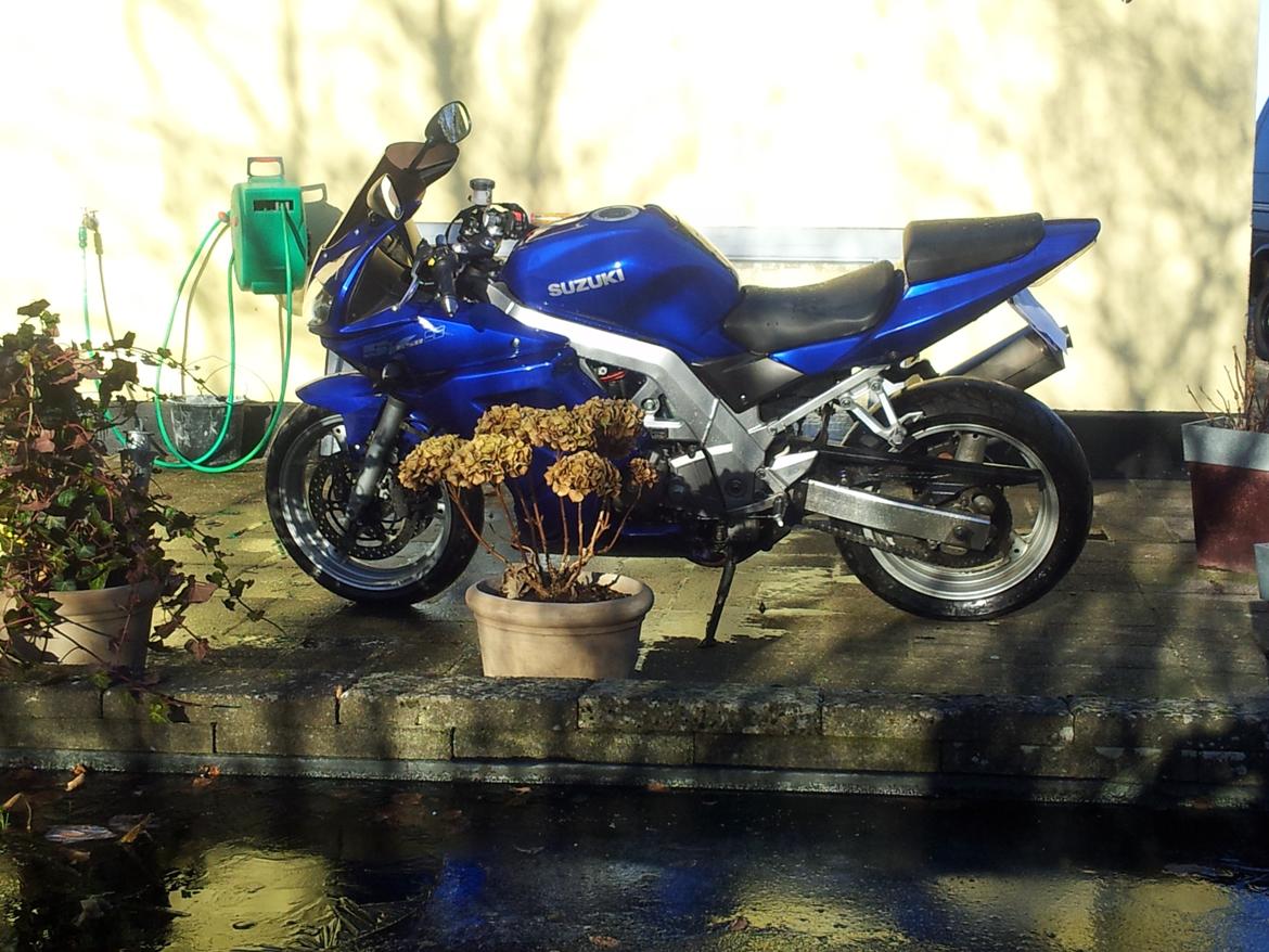 Suzuki sv650 s billede 3