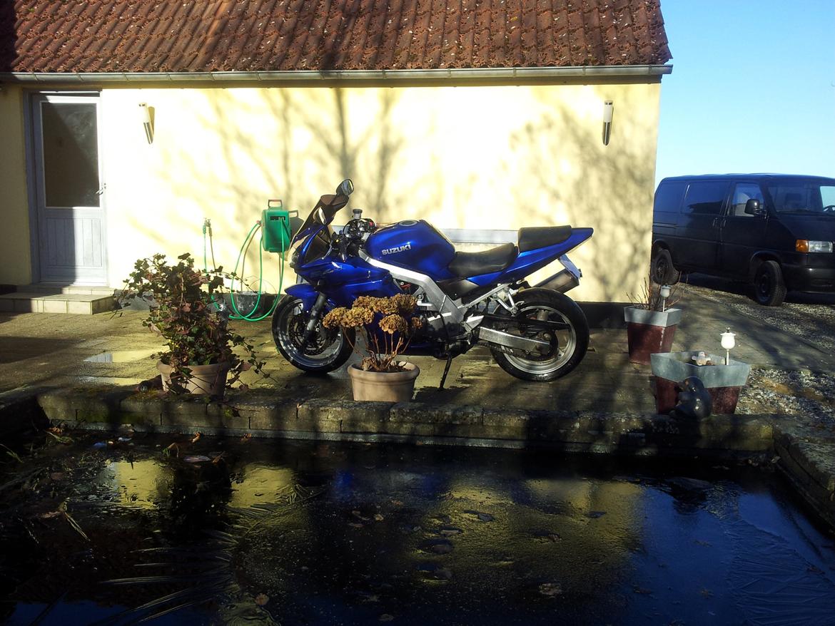 Suzuki sv650 s billede 4