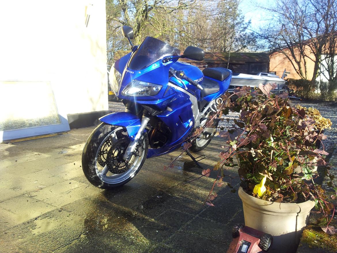 Suzuki sv650 s billede 5