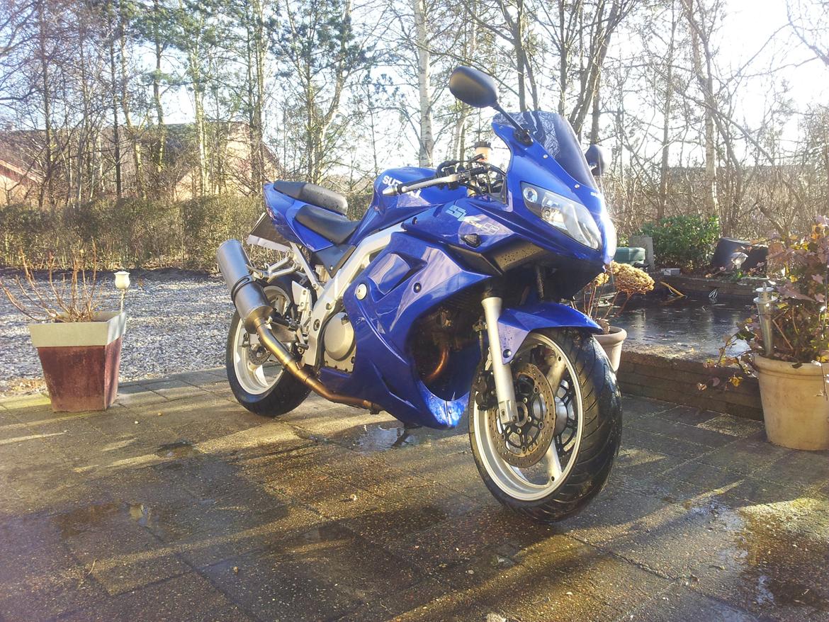 Suzuki sv650 s billede 14