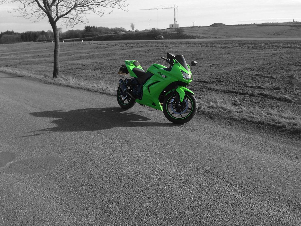 Kawasaki Ninja 250R SOLGT billede 1