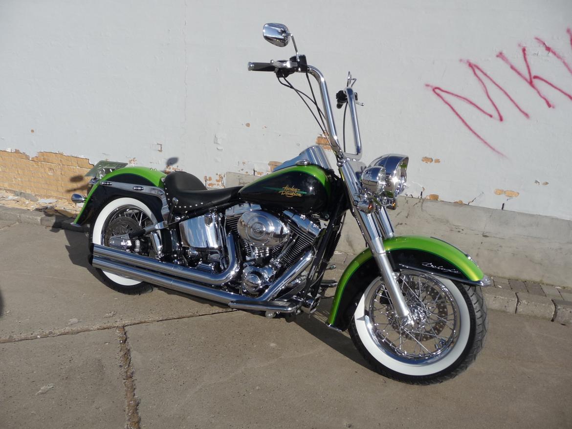 Harley Davidson FLSTNI Softail Deluxe "Solgt" billede 1