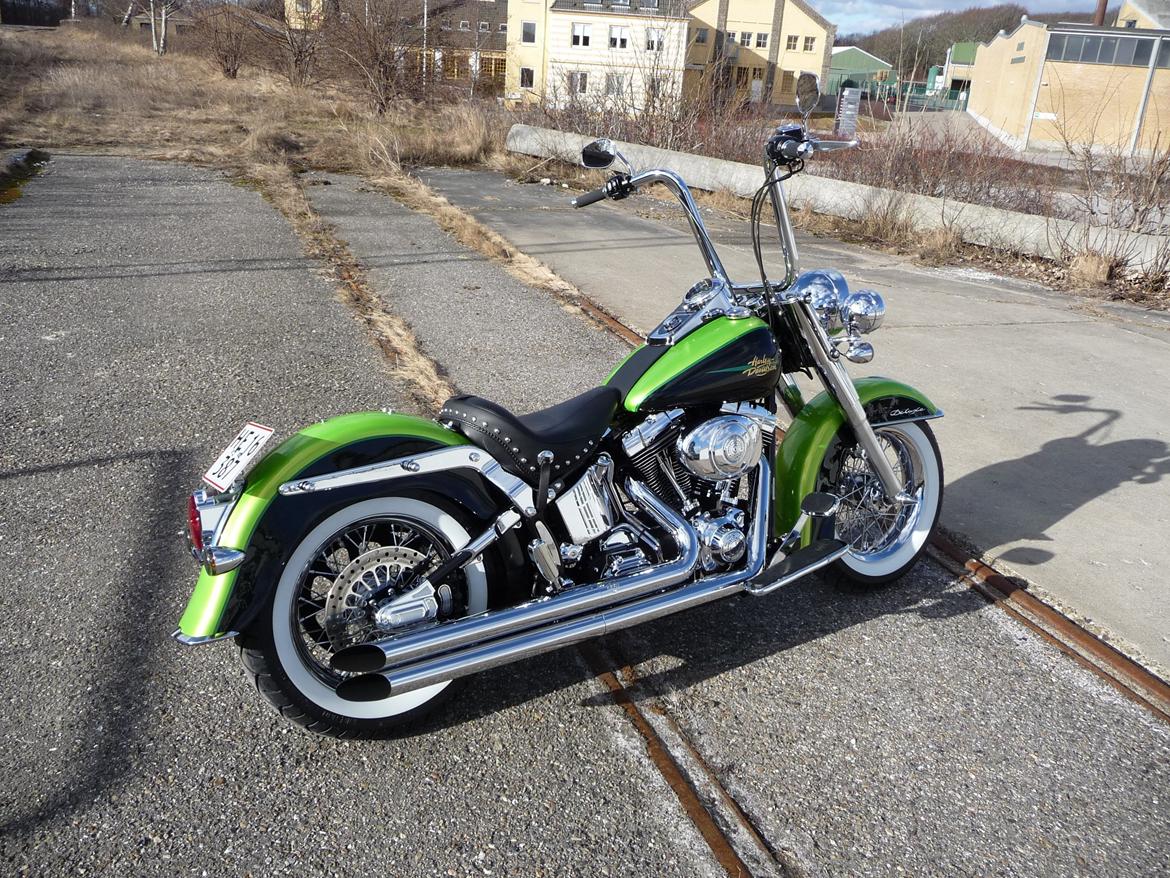 Harley Davidson FLSTNI Softail Deluxe "Solgt" billede 4