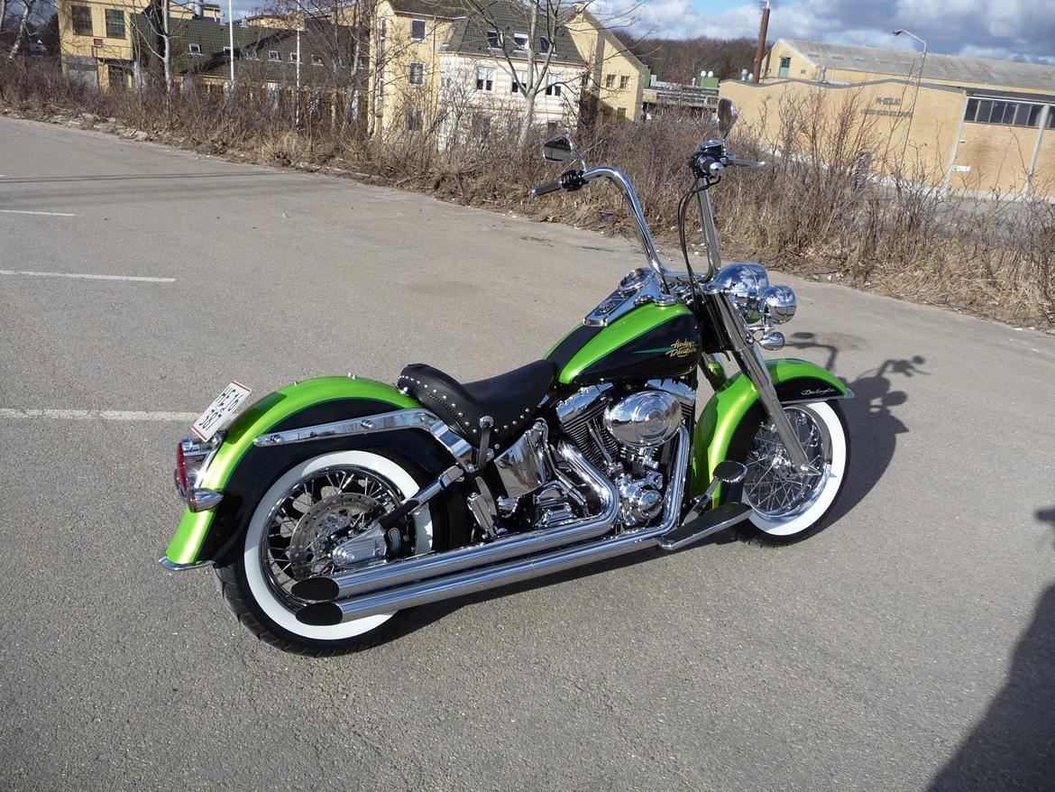 Harley Davidson FLSTNI Softail Deluxe "Solgt" billede 8