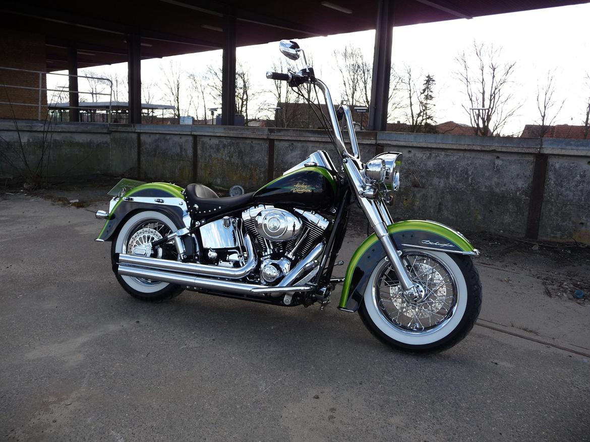 Harley Davidson FLSTNI Softail Deluxe "Solgt" billede 9