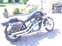 Honda 1100 shadow