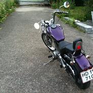 Suzuki LS650 Savage
